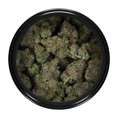 Buy Permanent Marker Strain Online Green Society