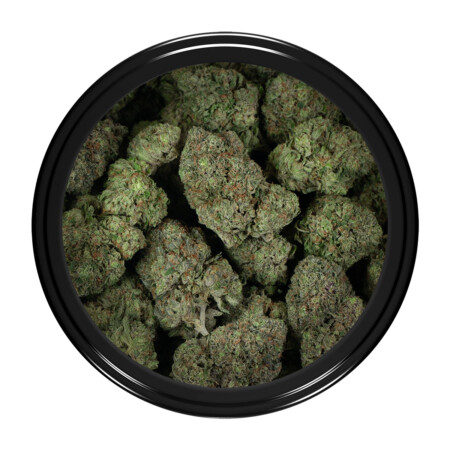 Buy Rockstar Strain Online Green Society