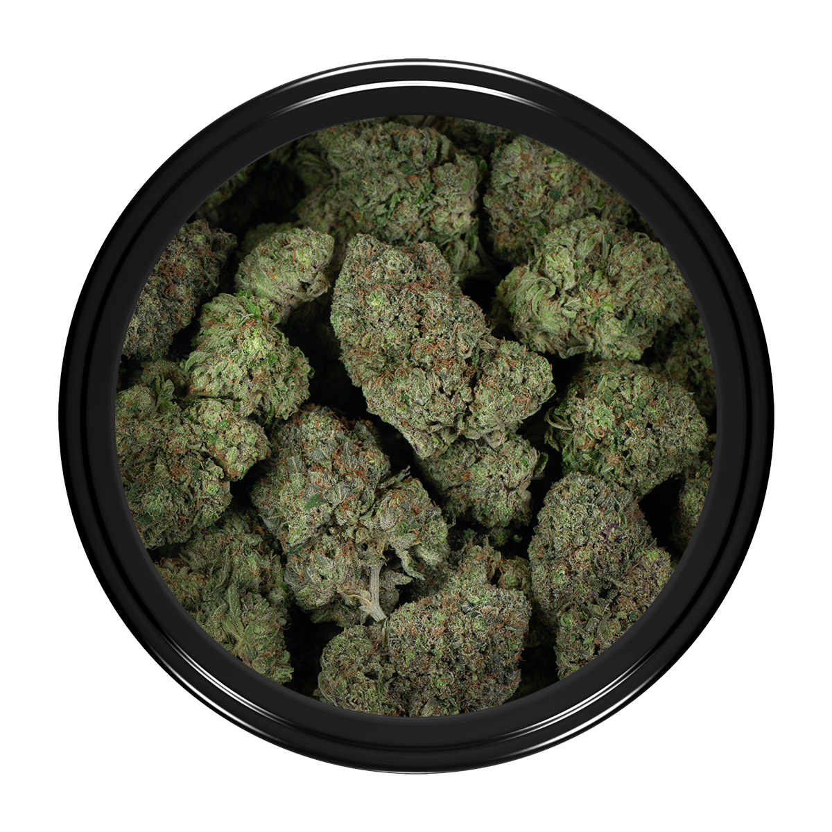 Buy Rockstar Strain Online Green Society
