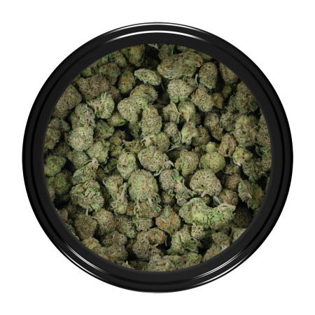 Buy Starfighter F2 Strain Online Green Society