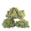 Buy Banana Runtz Strain Online Green Society