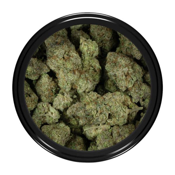 Buy Biscotti Pie Strain Online Green Society