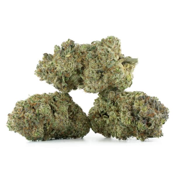Buy Biscotti Pie Strain Online Green Society