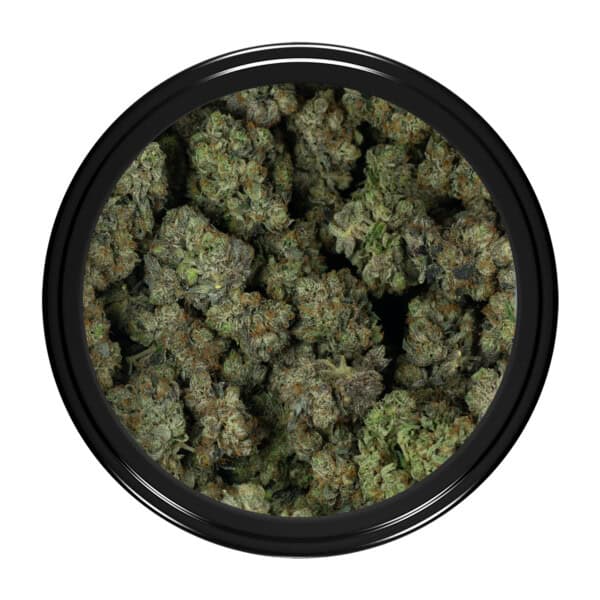 Buy Coastal Pink Kush Strain Online Green Society