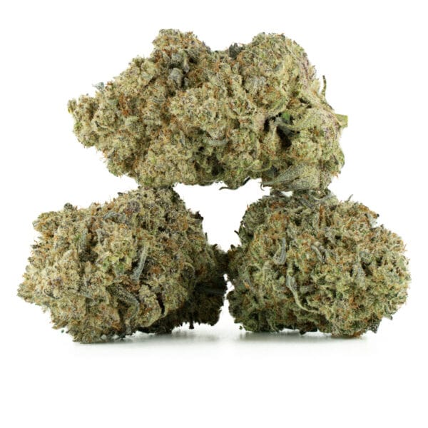 Buy Galactic Gas Strain Online Green Society