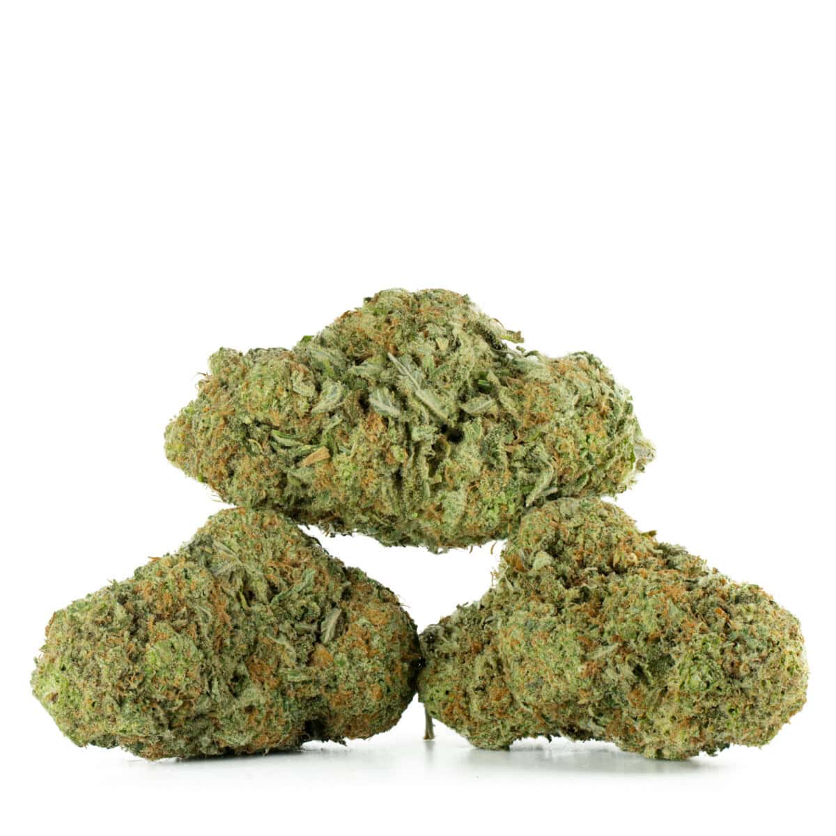 Buy Jack Herer Strain Online Green Society