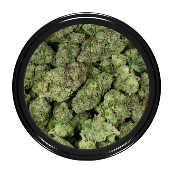 Buy Pink Goo Strain Online Green Society