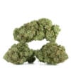 Buy Pink Goo Strain Online Green Society