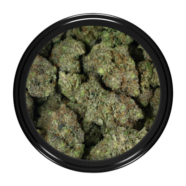 Buy Platinum Pink Strain Online Green Society