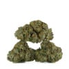 Buy Pre-98 Bubba Kush Strain Online Green Society