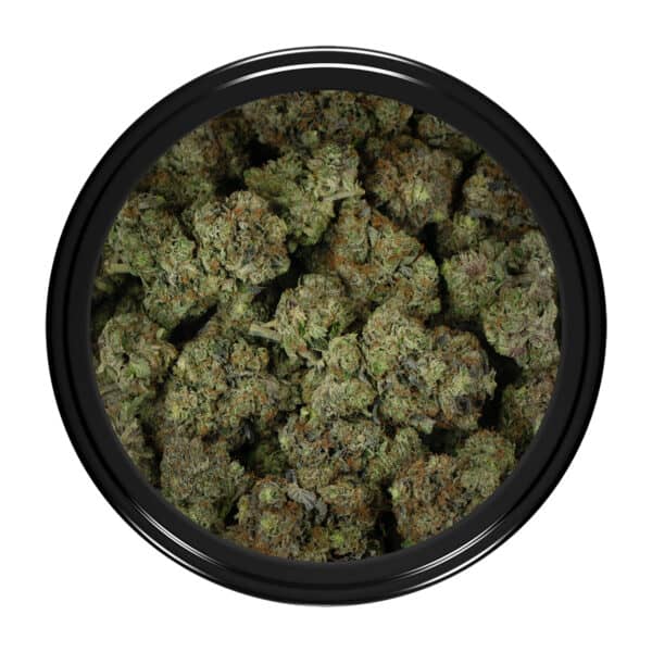 Buy Tom Ford Rockstar Strain Online Green Society