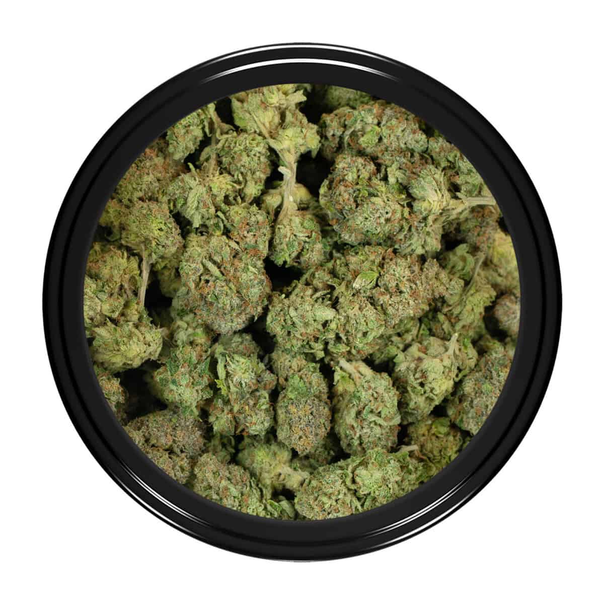 Buy 3 Point Kush Strain Online Green Society