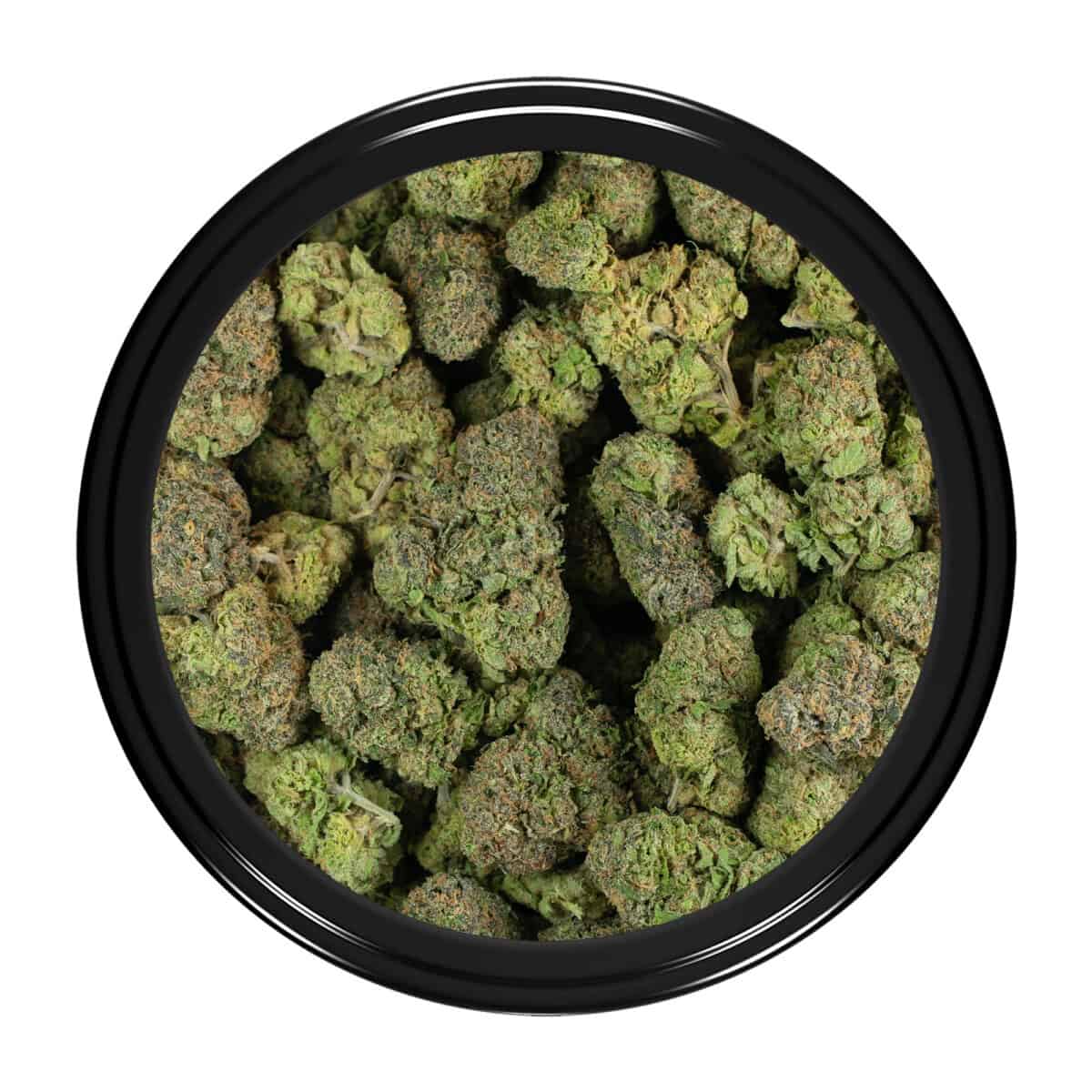 Buy Animal Sherbert Strain Online Green Society