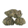 Buy Blue Lobster Strain Online Green Society