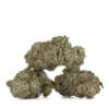 Buy Blueberry by DJ Short Strain Online Green Society
