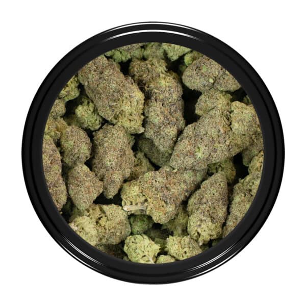 Buy Cactus Breath Strain Online Green Society