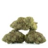 Buy Cactus Breath Strain Online Green Society