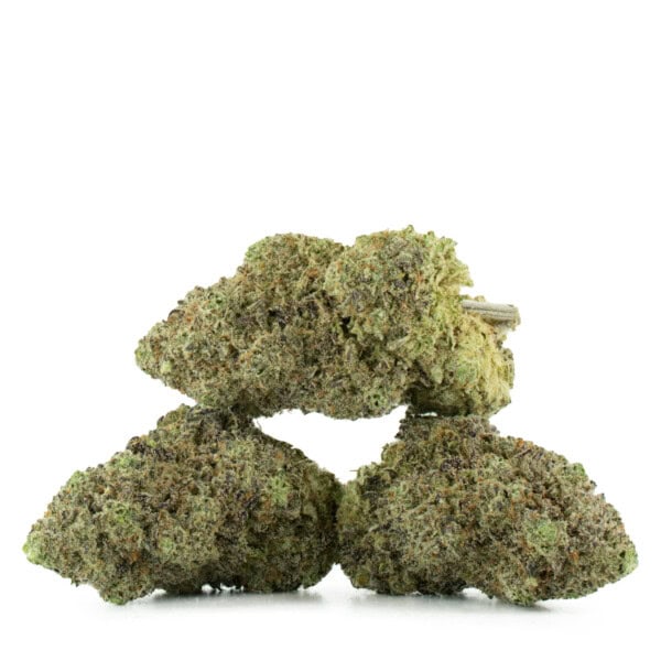 Buy Cactus Breath Strain Online Green Society