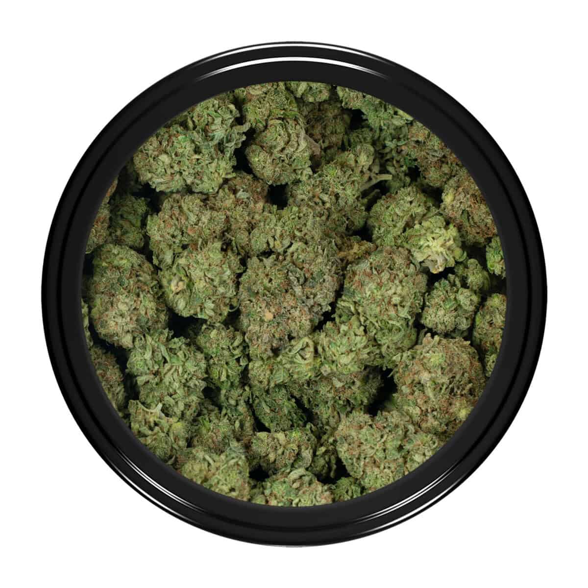 Buy Critical Kush Strain Online Green Society