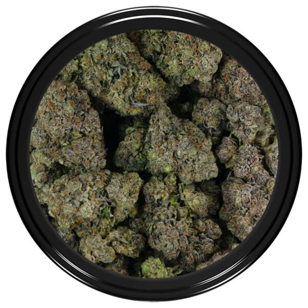 Buy Fatso Strain Online Green Society