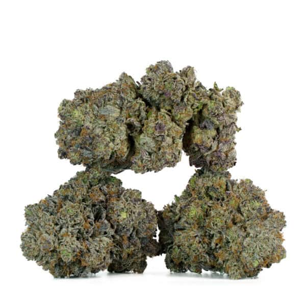 Buy Master Tuna Strain Online Green Society