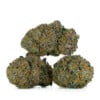 Buy Grape Gasoline Strain Online Green Society