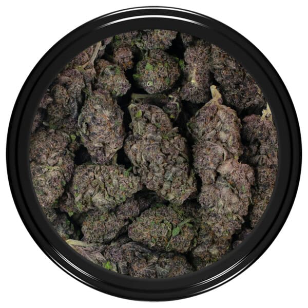Lemon Cherry Gelato