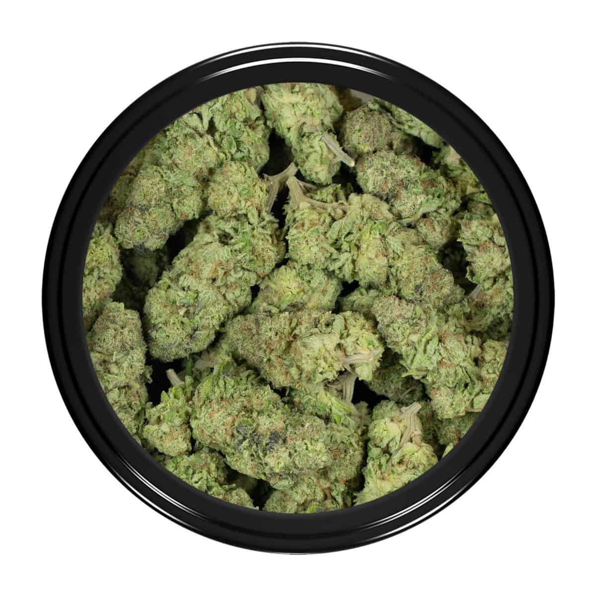 Buy Lemon Haze Strain Online Green Society