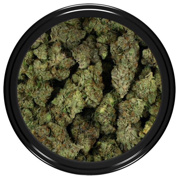 Master Kush