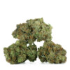 Buy Master Kush Strain Online Green Society