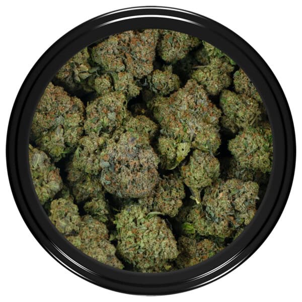 Buy Master Tuna Strain Online Green Society
