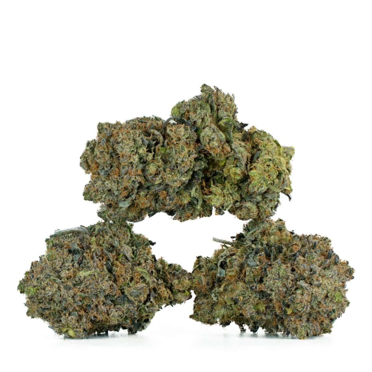 Buy Master Tuna Strain Online Green Society