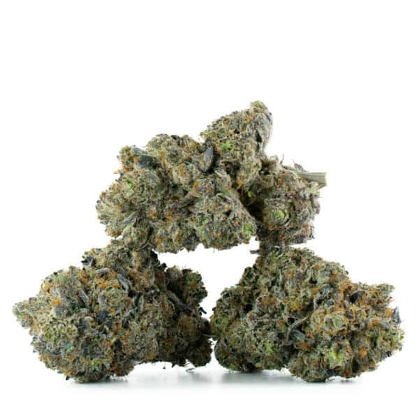 Buy Mike Tyson Strain Online Green Society