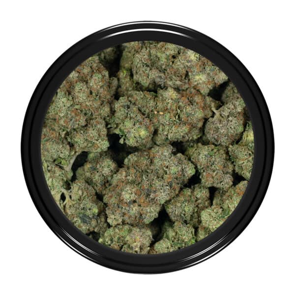 Buy Pink Rockstar Strain Online Green Society