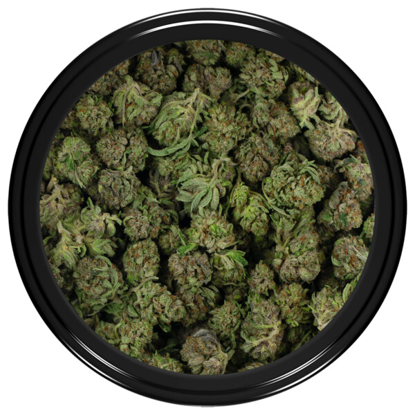 Buy Purple Kush Strain Popcorn Online Green Society