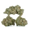 Buy White Caviar Strain Online Green Society