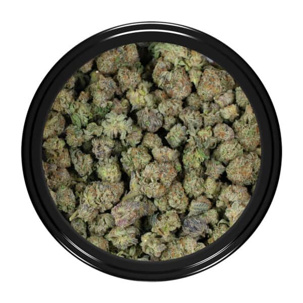 Buy White Sherb Strain Popcorn Online Green Society