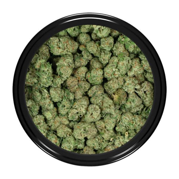 Buy White Widow Strain Popcorn Online Green Society