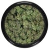 Buy Afghan Kush Strain Popcorn Online Green Society