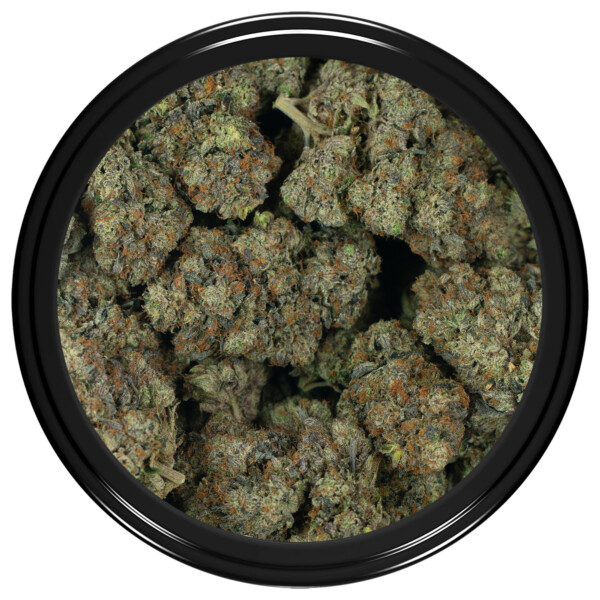 Buy Black Gas Strain Online Green Society