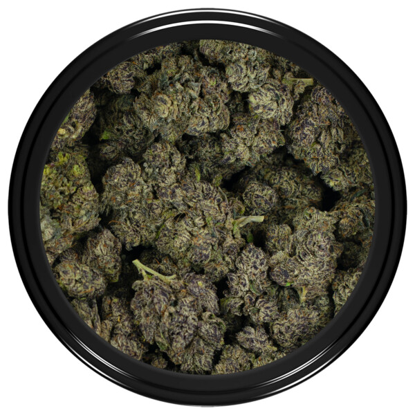 Black Truffle
