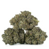 Buy Black Truffle Strain Online Green Society