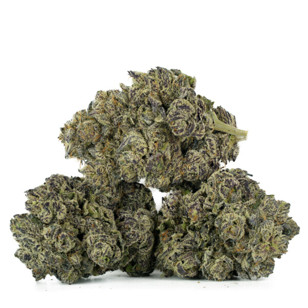 Buy Black Truffle Strain Online Green Society