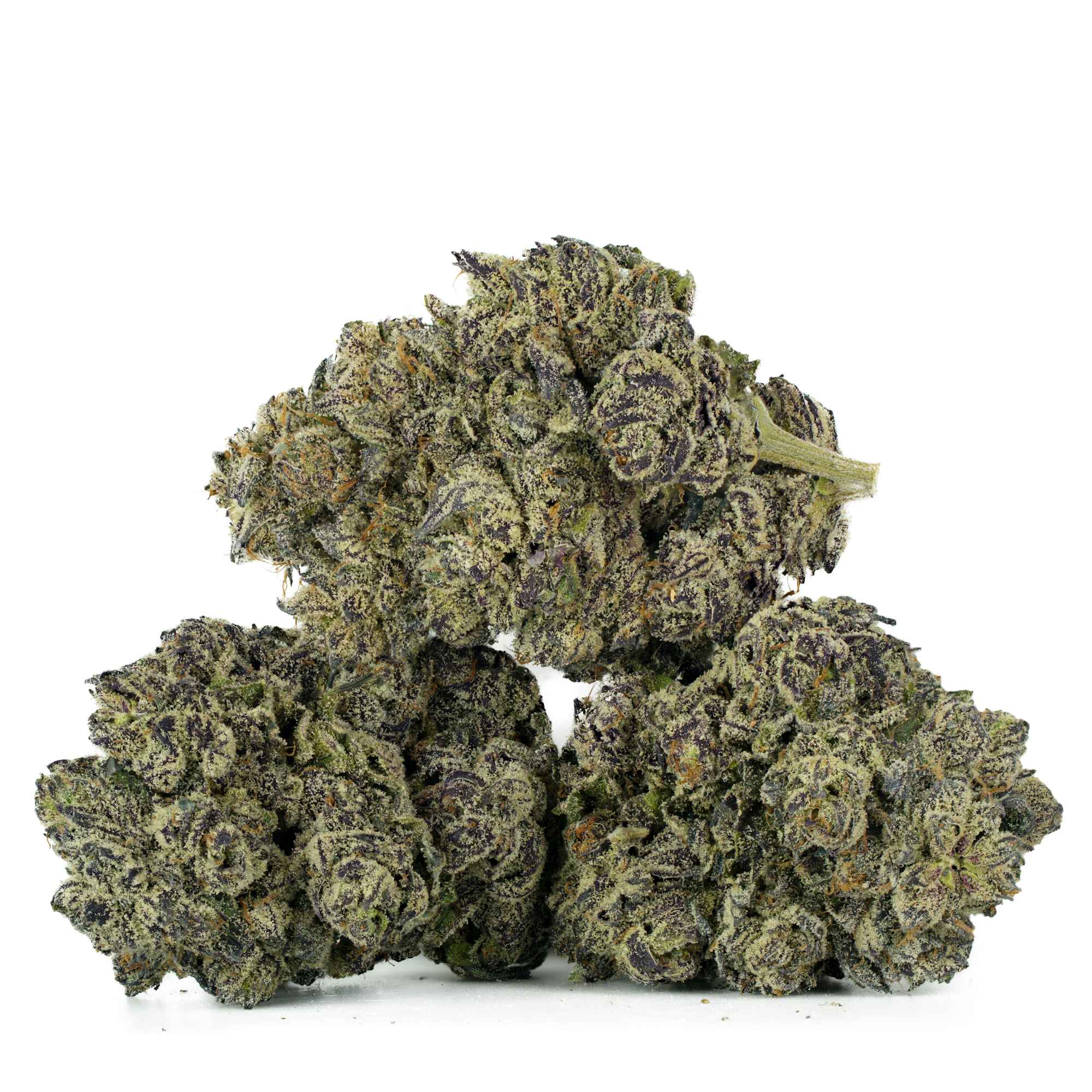 Black Truffle - 7 Grams