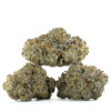 Buy Blueberry Bomb Strain Online Green Society
