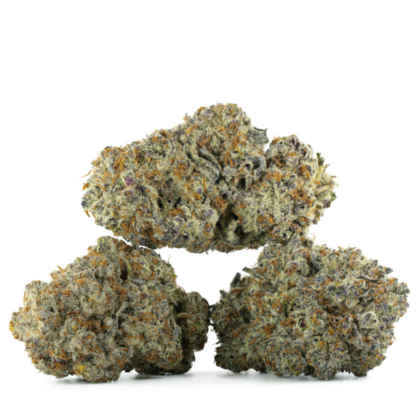 Buy Blueberry Bomb Strain Online Green Society