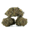Buy Death Tuna Strain Online Green Society