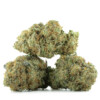 Buy Fruit Gushers Strain Online Green Society