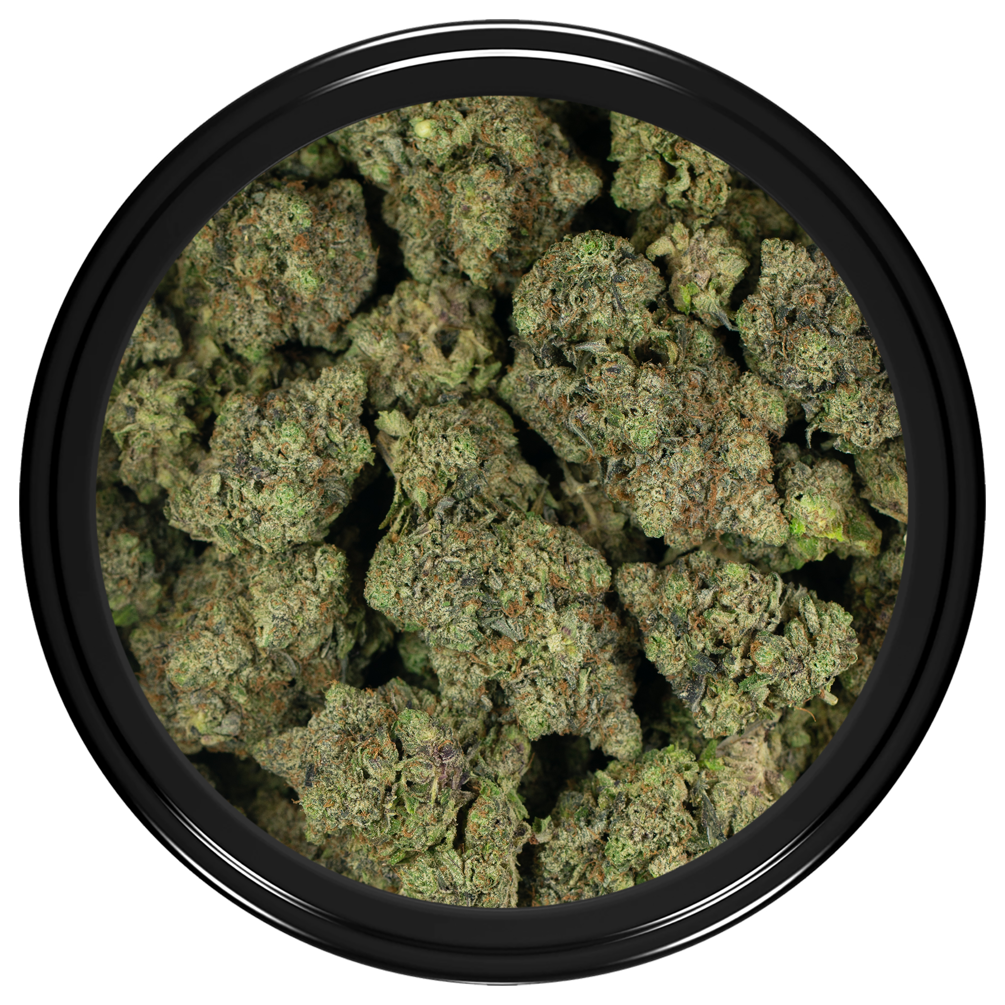 Buy King Louis XIII Strain Online Canada Green Society