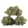 Buy King Louis XIII Strain Online Canada Green Society
